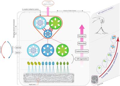 Theory of brain complexity and marital behaviors: The application of complexity science and neuroscience to explain the complexities of marital behaviors